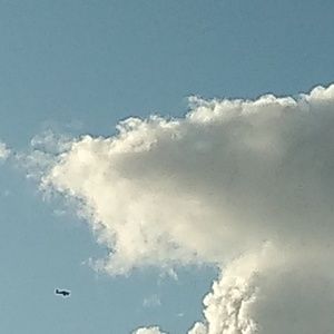 Meet your Posher, Phoebe